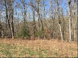 Lot 1 South Pointe Shore Dr, Moneta VA 24121