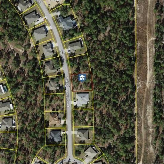 22 Tall Marigolds Court, Homosassa FL 34446