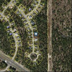 22 Tall Marigolds Court, Homosassa FL 34446