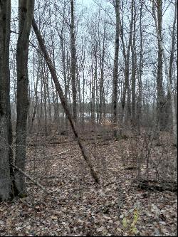 Lot 11 Wilderness Drive, Mancelona MI 49659