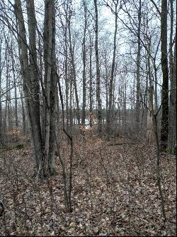 Lot 11 Wilderness Drive, Mancelona MI 49659