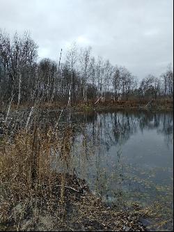 Lot 11 Wilderness Drive, Mancelona MI 49659