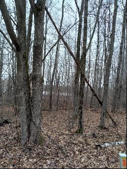 Lot 11 Wilderness Drive, Mancelona MI 49659