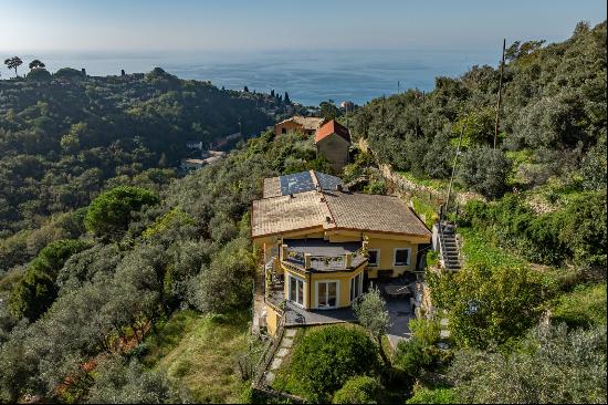 Via Cotulo, 20, Recco, Liguria, 16036