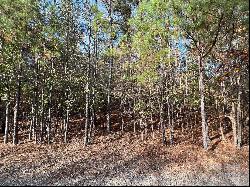 Lot 3 Oak Drive #3, Monroe NC 28112