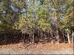 Lot 3 Oak Drive #3, Monroe NC 28112