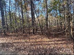 Lot 3 Oak Drive #3, Monroe NC 28112