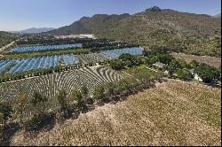 Beautiful Franschhoek Valley Farm, R45 Road, Franschhoek, Western Cape, 7690