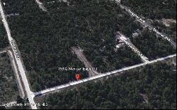 Meteor Ct Lot 9, Weeki Wachee FL 34614