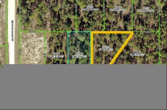 Meteor Ct Lot 9, Weeki Wachee FL 34614