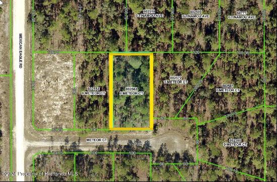 Meteor Ct Lot 8, Weeki Wachee FL 34614