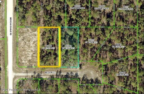 Meteor Ct lot 7, Weeki Wachee FL 34614