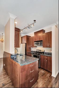 910 S Michigan Avenue #1315, Chicago IL 60605