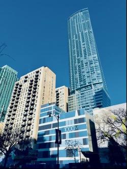 910 S Michigan Avenue #1315, Chicago IL 60605