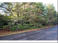 Windleaf Way #TL4100, Florence OR 97439