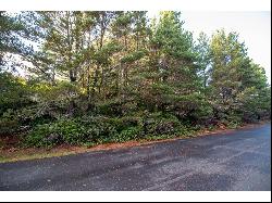 Windleaf Way #TL4100, Florence OR 97439