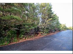 Windleaf Way #TL4100, Florence OR 97439