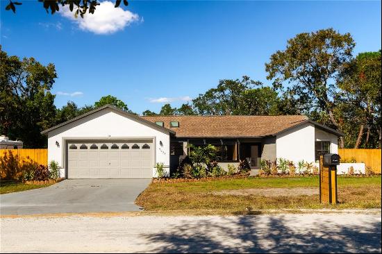 9053 Nakoma Way, Weeki Wachee FL 34613