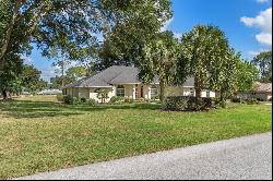 409 E Dakota Court, Hernando FL 34442