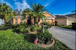 1240 Winding Willow Drive, Trinity FL 34655