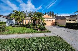 1240 Winding Willow Drive, Trinity FL 34655