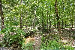 335 Winding Stream Trail, Hampton GA 30228