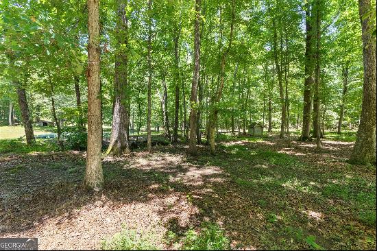 335 Winding Stream Trail, Hampton GA 30228