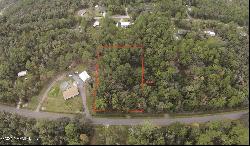 Turpin Avenue, Hastings FL 32145