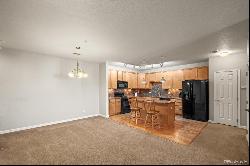 16650 Las Ramblas Lane Unit P, Parker CO 80134