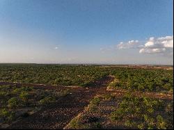 571+/- Acres SABINAL RANCH, Uvalde County, Sabinal , TX 78881