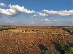 571+/- Acres SABINAL RANCH, Uvalde County, Sabinal , TX 78881