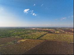 571+/- Acres SABINAL RANCH, Uvalde County, Sabinal , TX 78881