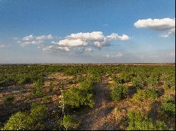 571+/- Acres SABINAL RANCH, Uvalde County, Sabinal , TX 78881