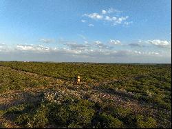 571+/- Acres SABINAL RANCH, Uvalde County, Sabinal , TX 78881