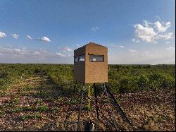 571+/- Acres SABINAL RANCH, Uvalde County, Sabinal , TX 78881