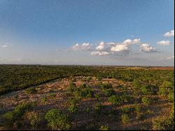 571+/- Acres SABINAL RANCH, Uvalde County, Sabinal , TX 78881