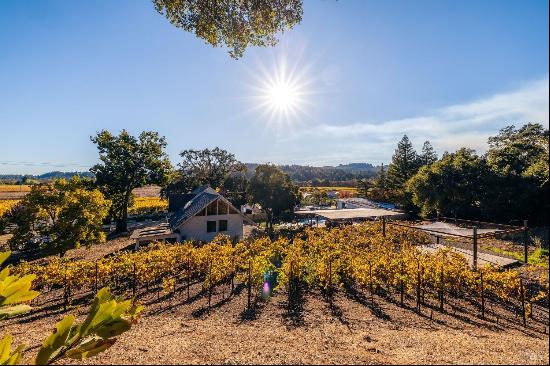 Healdsburg Residential