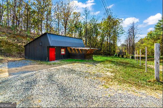 Ellijay Commercial Sale