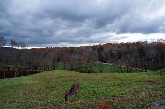 Morganton Land