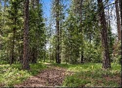 1281 Kokanee Lp, Cle Elum, WA 98922