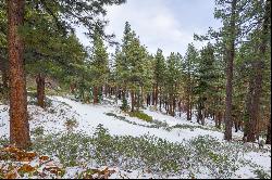 Approximately 6 acres under Mount Rose Ski Area, excellent location and privacy