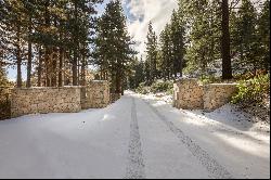 Approximately 6 acres under Mount Rose Ski Area, excellent location and privacy