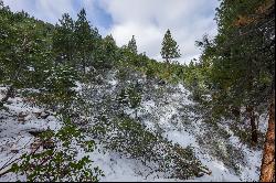 Approximately 6 acres under Mount Rose Ski Area, excellent location and privacy