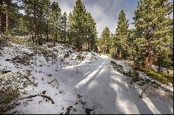 Approximately 6 acres under Mount Rose Ski Area, excellent location and privacy