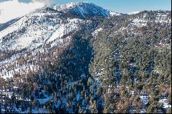 Approximately 6 acres under Mount Rose Ski Area, excellent location and privacy