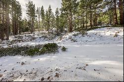 Approximately 6 acres under Mount Rose Ski Area, excellent location and privacy