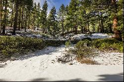 Approximately 6 acres under Mount Rose Ski Area, excellent location and privacy