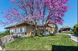 NICE VILLA CLOSE TO GENEVA