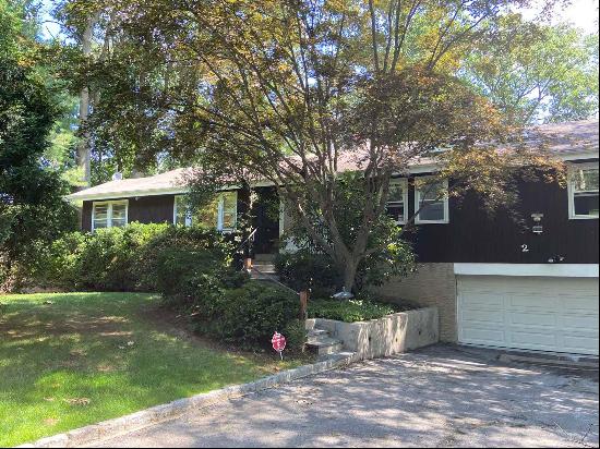 Sunny & Bright,  Recently Renovated House