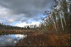 Beautiful Bell Lake Waterfront